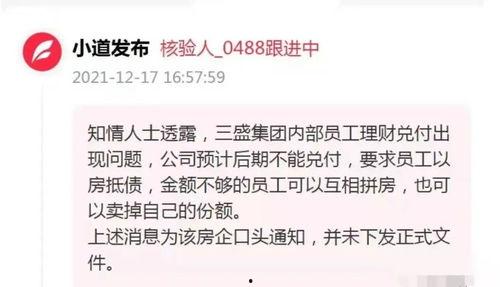 三盛集团爆料最新消息,揭秘重大战略调整与未来发展动向