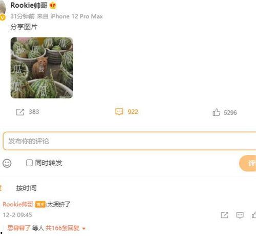 童瓜最新爆料在线观看,揭秘娱乐圈幕后真相，在线观看不容错过！